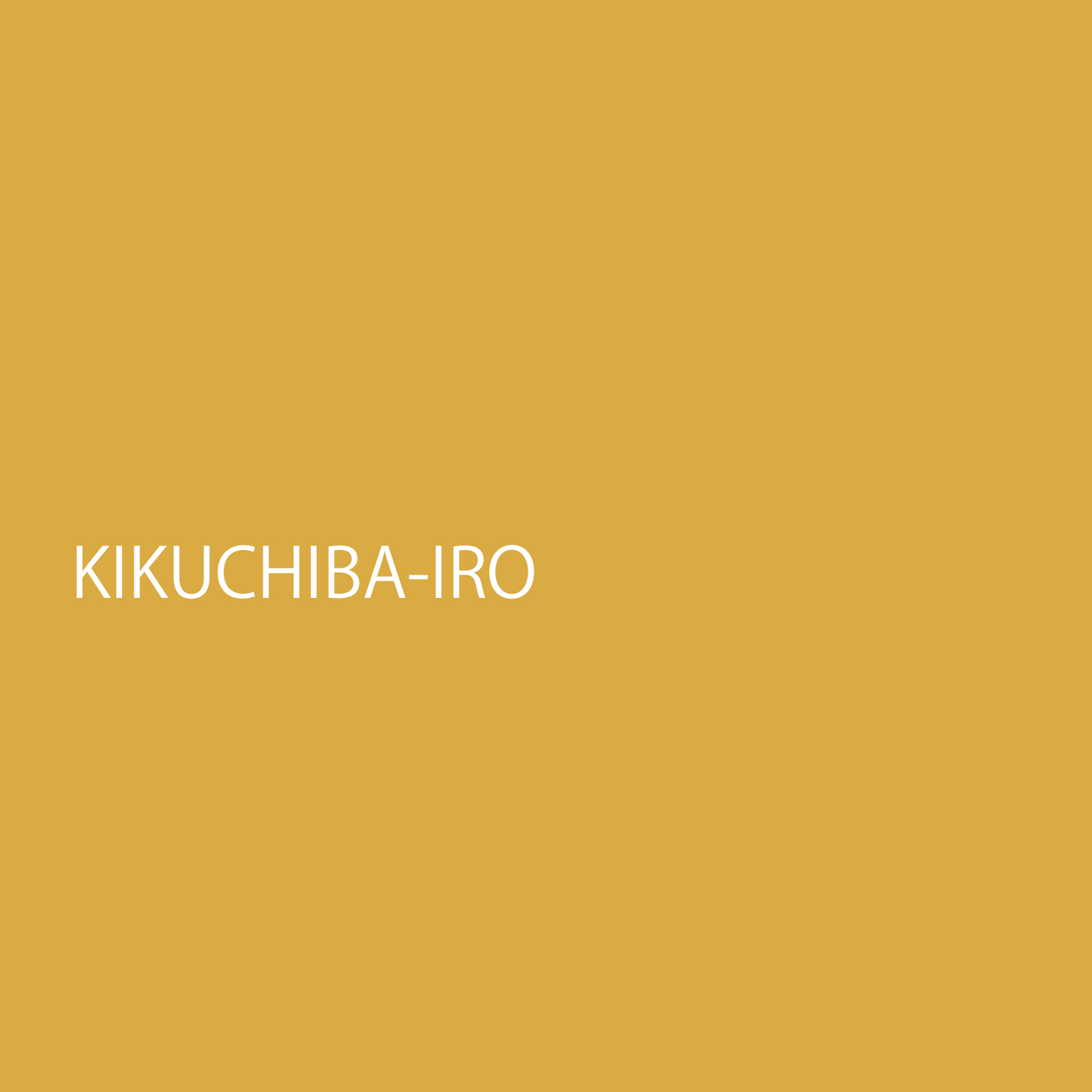 kikuchibairo