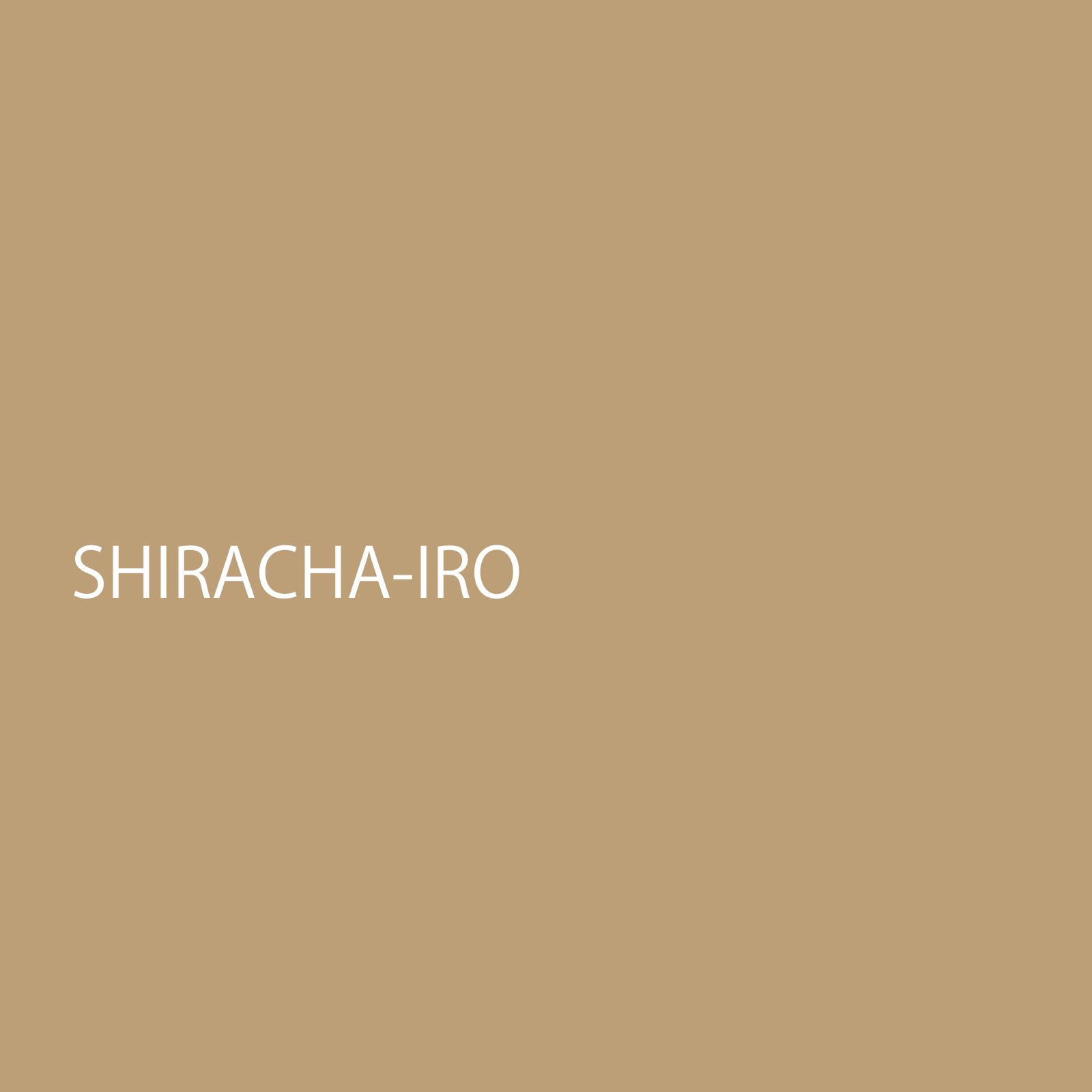 shirachairo